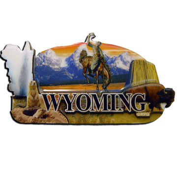 WYOMING 2D EPOXY MAGNET