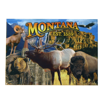 MONTANA LINE 2.5" X 3.5" MAGNET