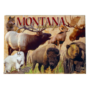 MONTANA WILDLIFE 2.5" X 3.5" MAGNET