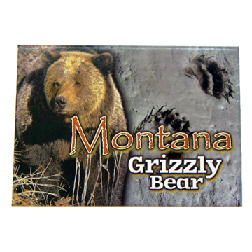 MONTANA GRIZZLY BEAR 2.5" X 3.5" MAGNET