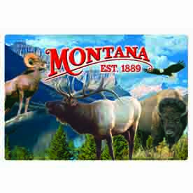 MONTANA LENTICULAR MAGNET