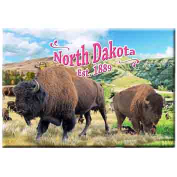 NORTH DAKOTA BUFFALO 2.5" X 3.5" MAGNET