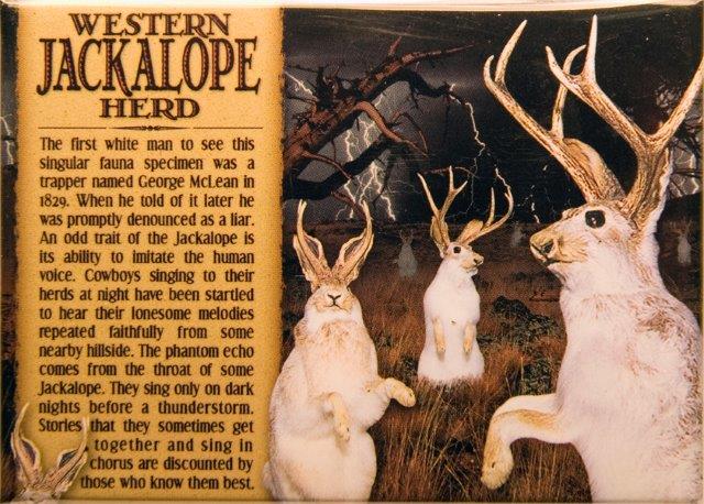 JACKALOPE HERD 2.5" X 3.5" MAGNET
