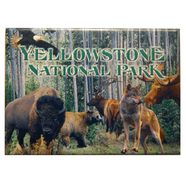 YELLOWSTONE WILDLIFE 2.5" X 3.5" MAGNET