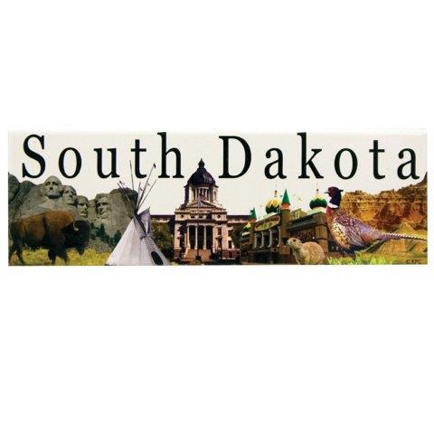 SOUTH DAKOTA CITY PANORAMIC MAGNET