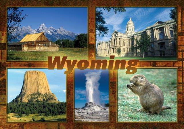 WYOMING MULTI-VIEW 2.5" X 3.5" MAGNET