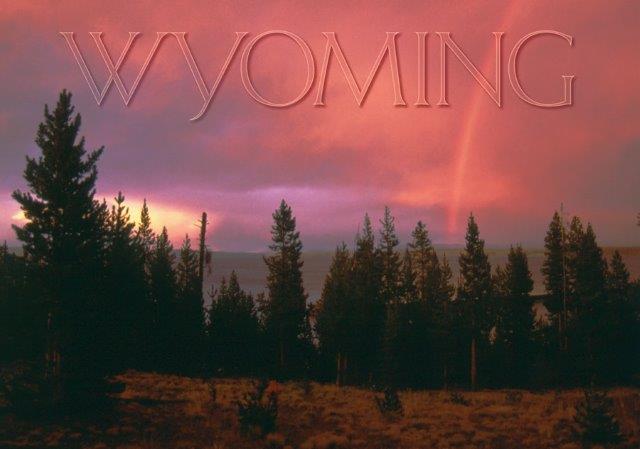 WYOMING RAINSTORM 2.5" X 3.5" MAGNET