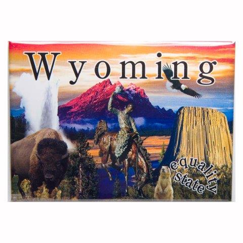 WYOMING LINE 2.5" X 3.5" MAGNET