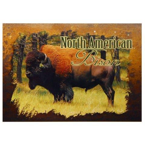 BULL BUFFALO POSTCARD