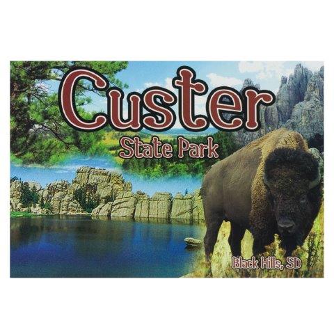CUSTER, SOUTH DAKOTA BUFFALO POSTCARD