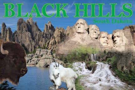 BLACK HILLS COLLAGE POSTCARD