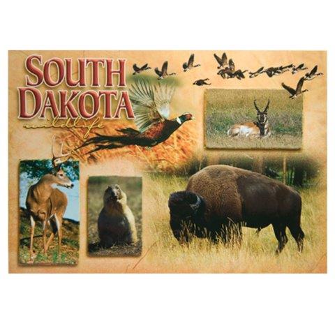 SOUTH DAKOTA WILDLIFE POSTCARD