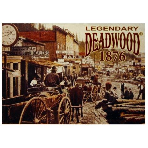 DEADWOOD 1876 POSTCARD