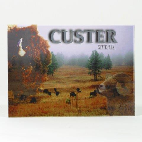 CUSTER, SOUTH DAKOTA POSTCARD