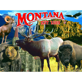 MONTANA LINE POSTCARD