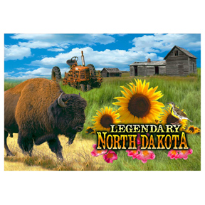 NORTH DAKOTA FARM HOUSE SCENE POSTCARD