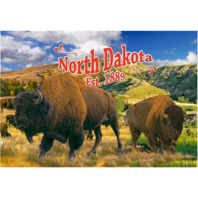 NORTH DAKOTA BUFFALO POSTCARD