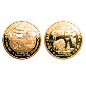 BADLANDS GOLD COIN