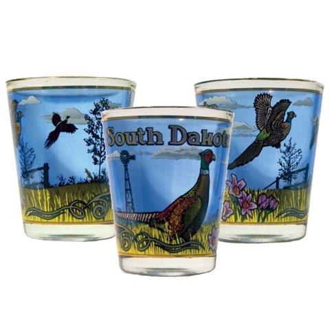 SOUTH DAKOTA PHEASANT SHOT WITH GOLD RIM