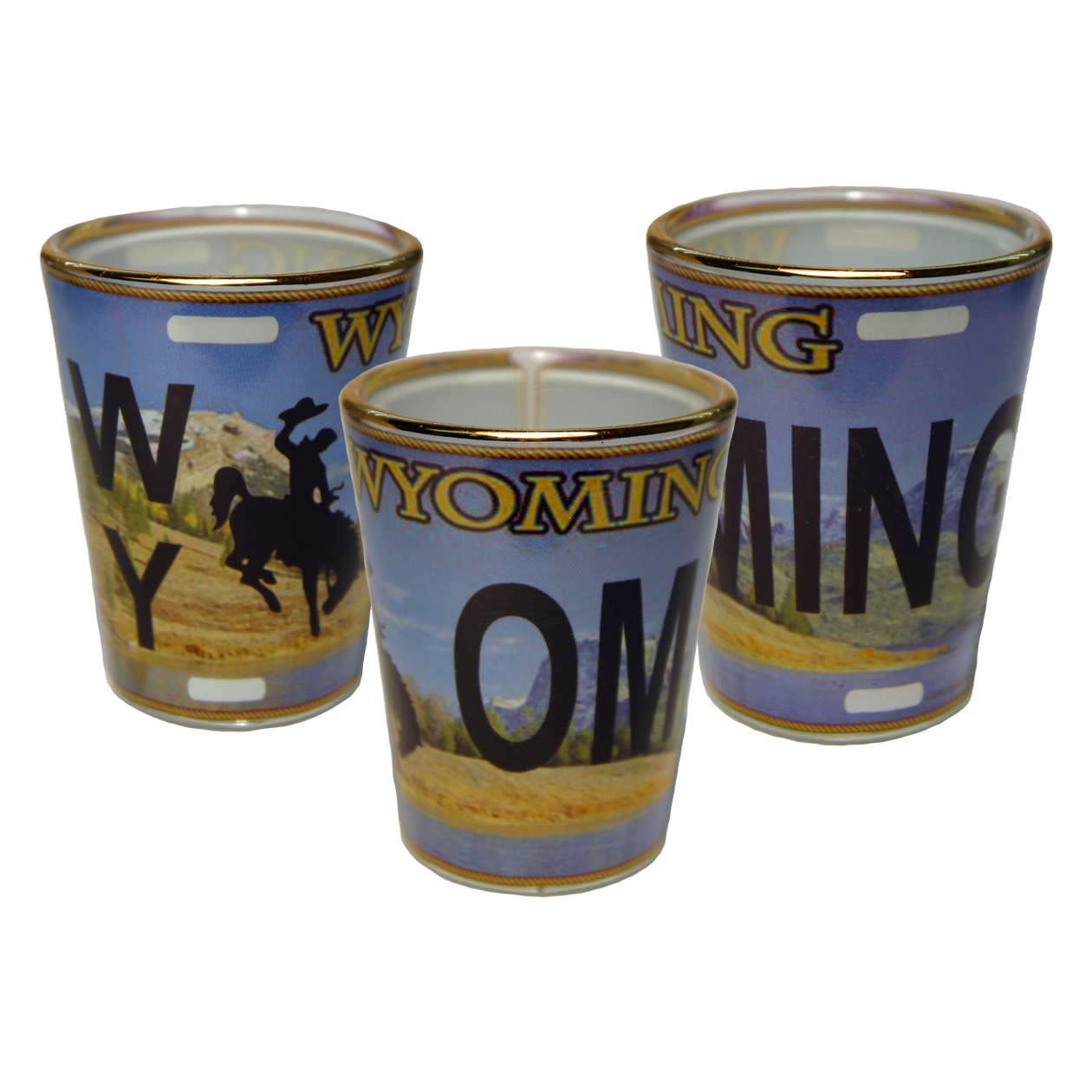 WYOMING LICENSE SHOT WITH GOLD RIM