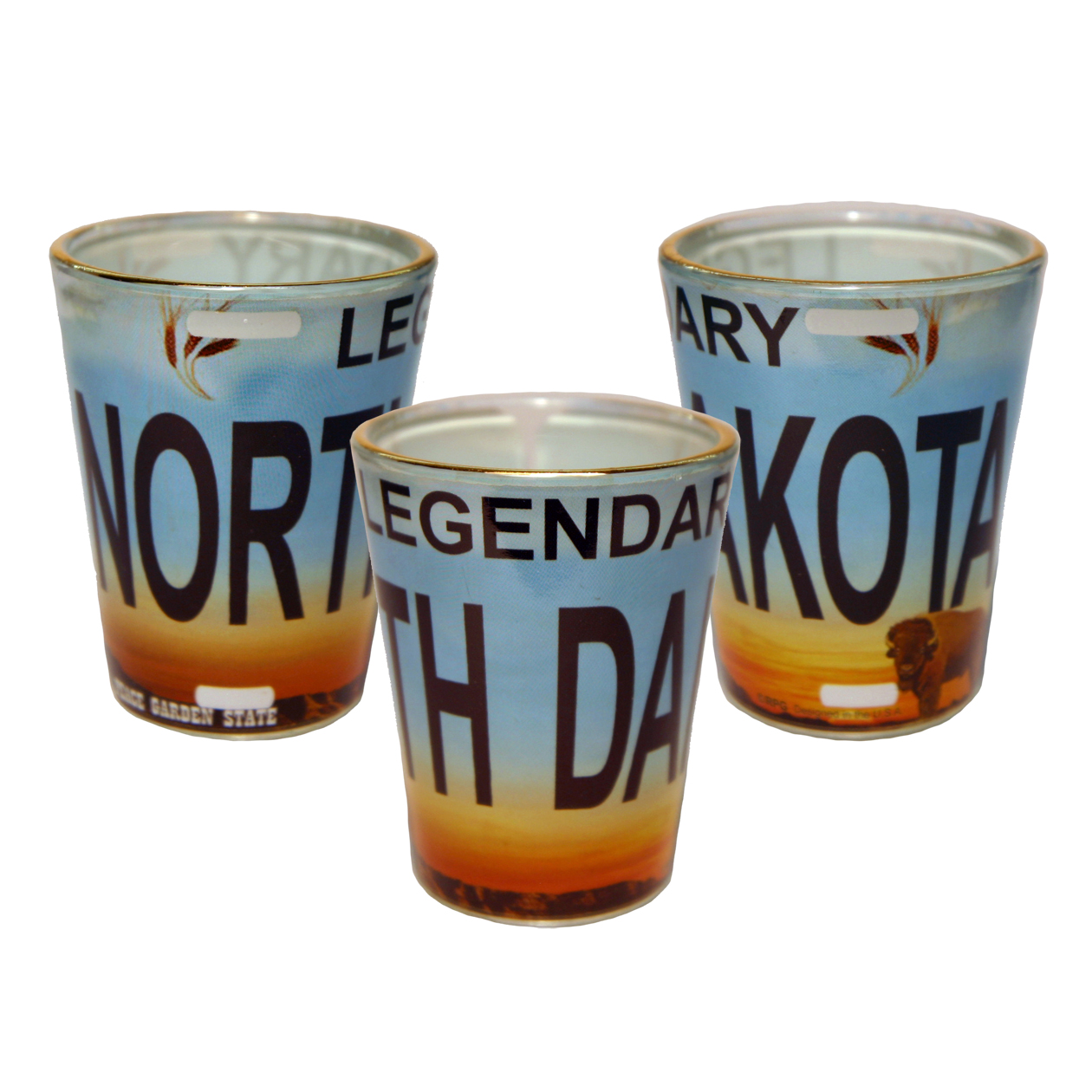 NORTH DAKOTA LICENSE SHOT WITH GOLD RIM