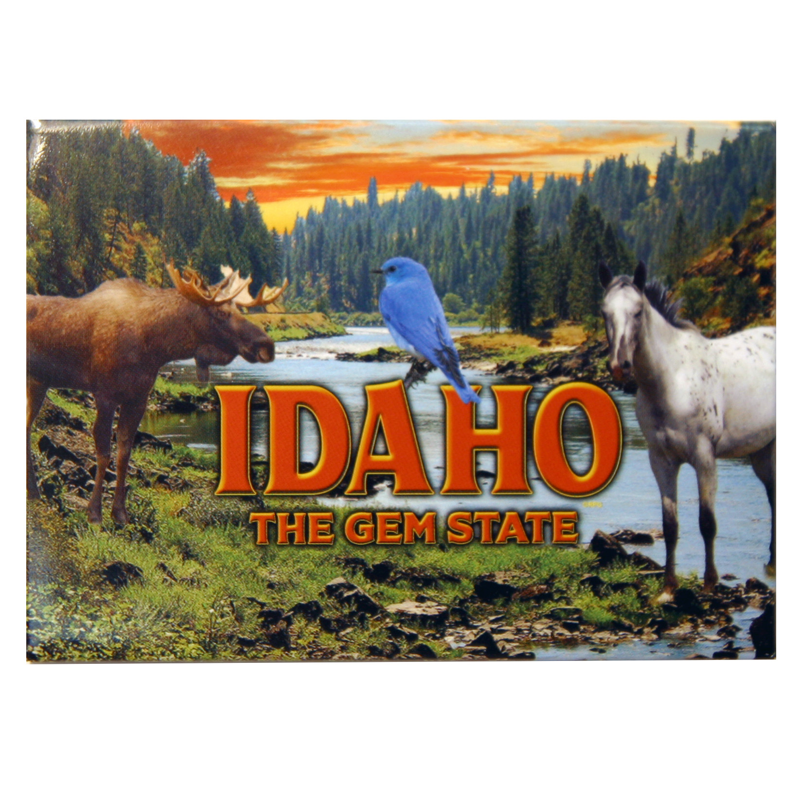 Idaho 2.5 x 3.5 Magnet