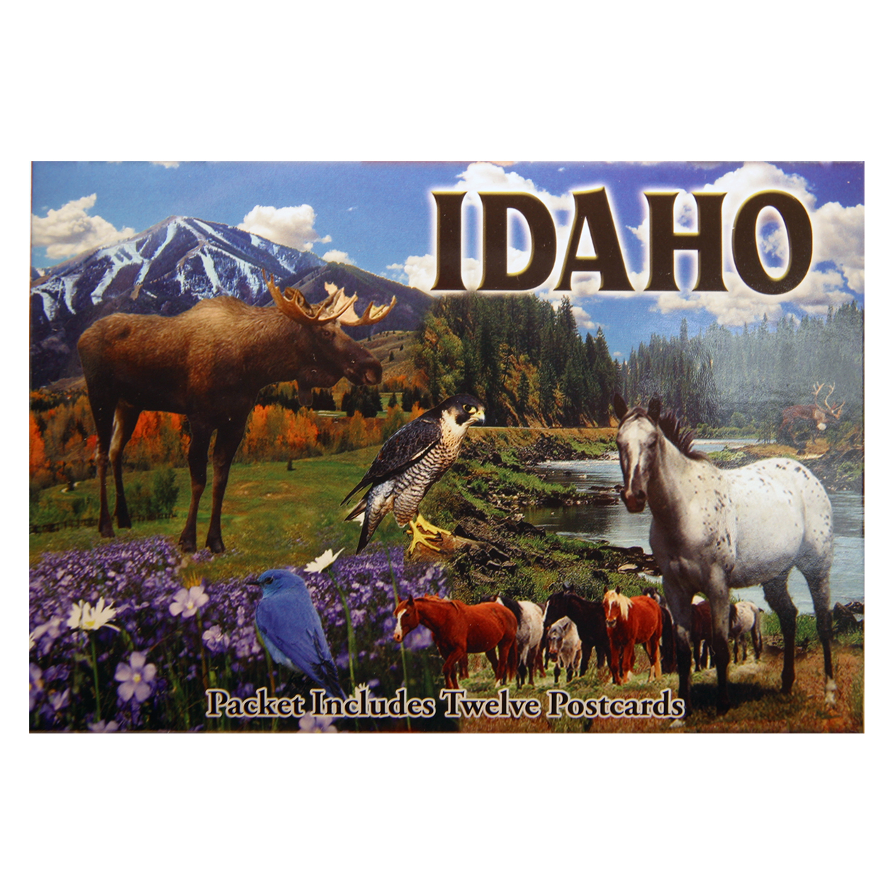 Idaho Postcard Packet(12 Cards)