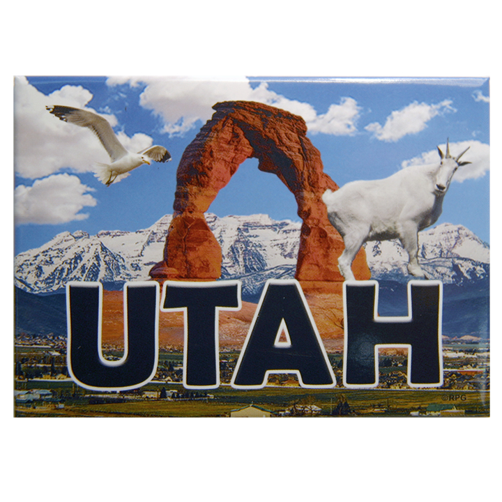 Utah Arches 2.5 x 3.5 Magnet