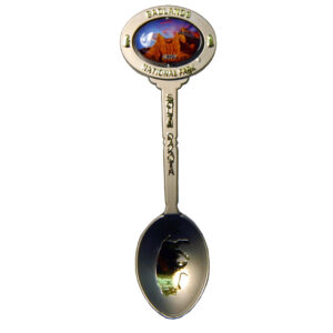 BADLANDS PHOTO SPINNER SPOON