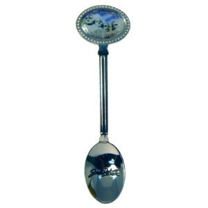 MOUNT RUSHMORE DAY PHOTO SPOON