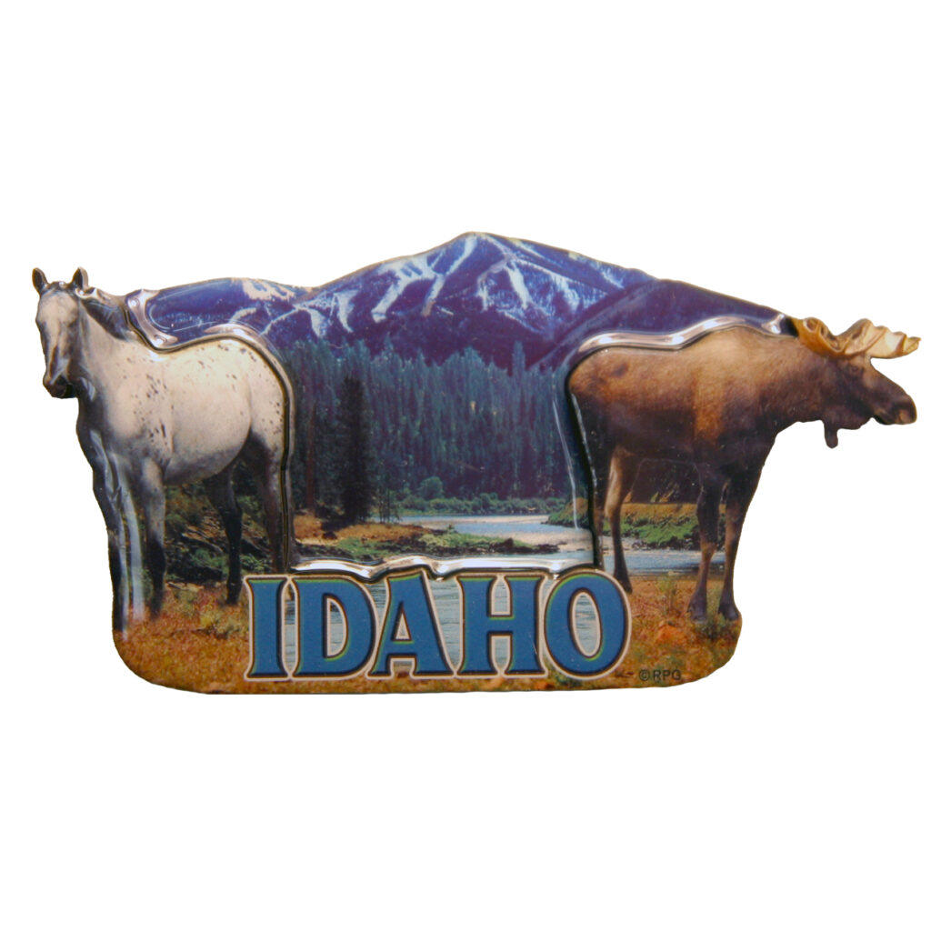 Idaho 2D Epoxy Magnet