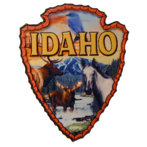 Idaho Arrowhead 3-D Acrylic Magnet