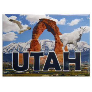 Utah Arches 2.5 x 3.5 Magnet