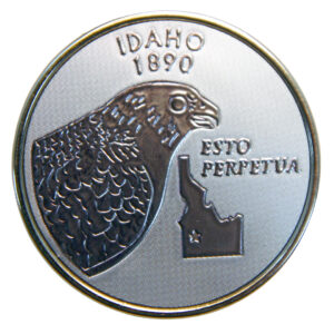 Idaho Foil Magnet