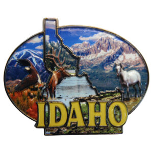 Idaho Painted Pewter Magnet